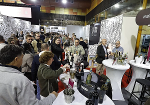 Read more about the article Malaga’s Fycma Fair Centre Achieves Economic Milestone with 265 Million Euros Impact