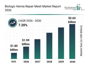 Read more about the article Insights into Market Drivers: Recent Advancements in the Biologic Hernia Repair Mesh Sector