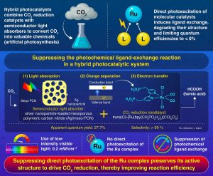 Read more about the article Innovative Hybrid Photocatalyst Enhances Efficiency of Artificial Photosynthesis